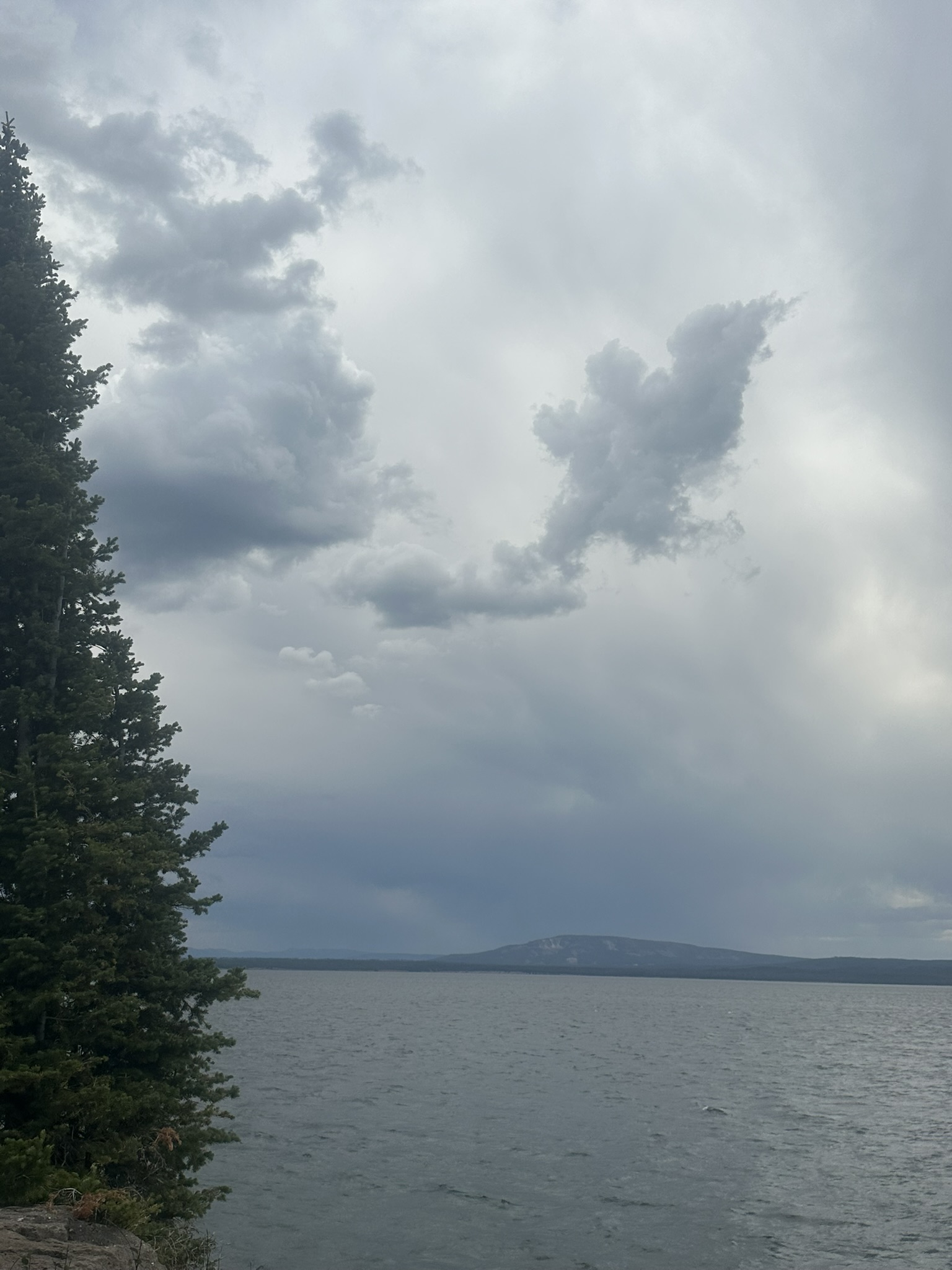 Yellowstone And Grand Teton National Parks - Image 9